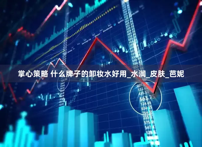 掌心策略 什么牌子的卸妆水好用_水润_皮肤_芭妮