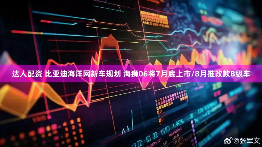 达人配资 比亚迪海洋网新车规划 海狮06将7月底上市/8月推改款B级车