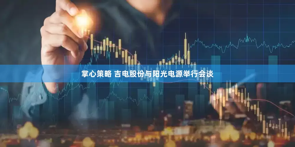掌心策略 吉电股份与阳光电源举行会谈