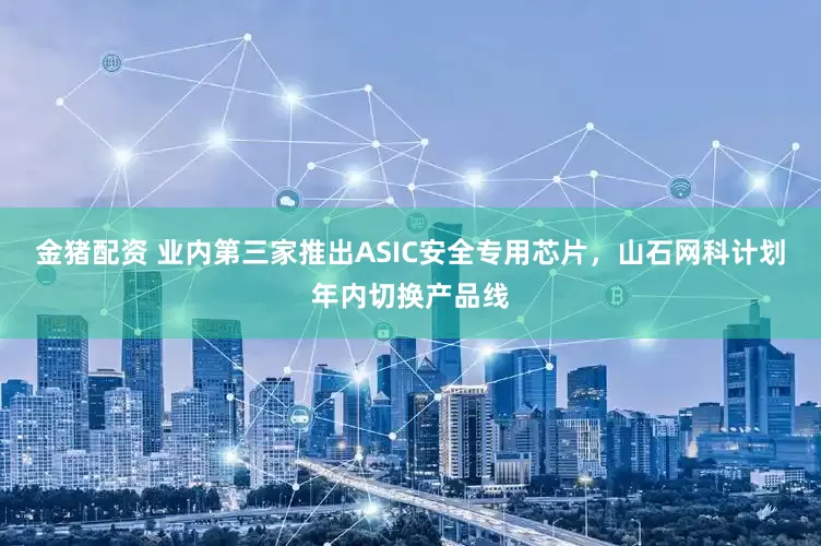 金猪配资 业内第三家推出ASIC安全专用芯片，山石网科计划年内切换产品线