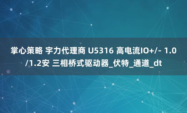 掌心策略 宇力代理商 U5316 高电流IO+/- 1.0/1.2安 三相桥式驱动器_伏特_通道_dt