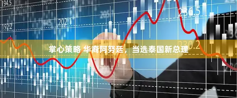 掌心策略 华裔阿努廷，当选泰国新总理