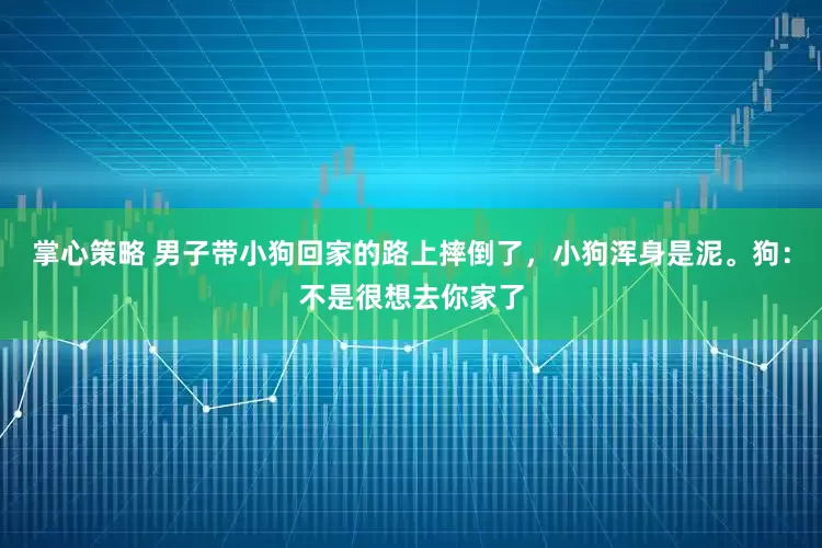掌心策略 男子带小狗回家的路上摔倒了,小狗浑身是泥。狗:不是很想去你家了