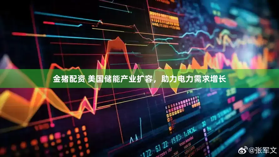 金猪配资 美国储能产业扩容，助力电力需求增长